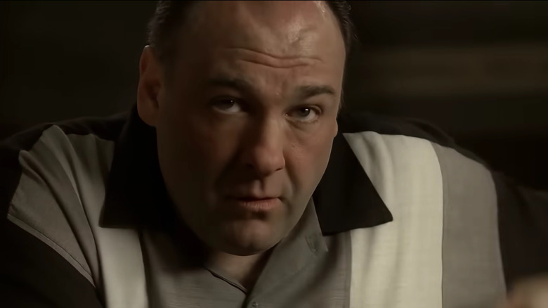James gandolfini as Tony Soprano, before the final cut to black in The Sopranos finale
