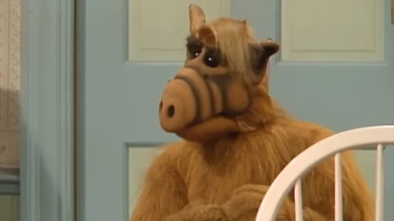 ALF standing by kitchen door