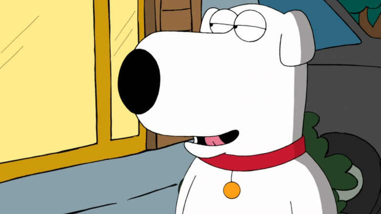 Brian Griffin on Family Guy
