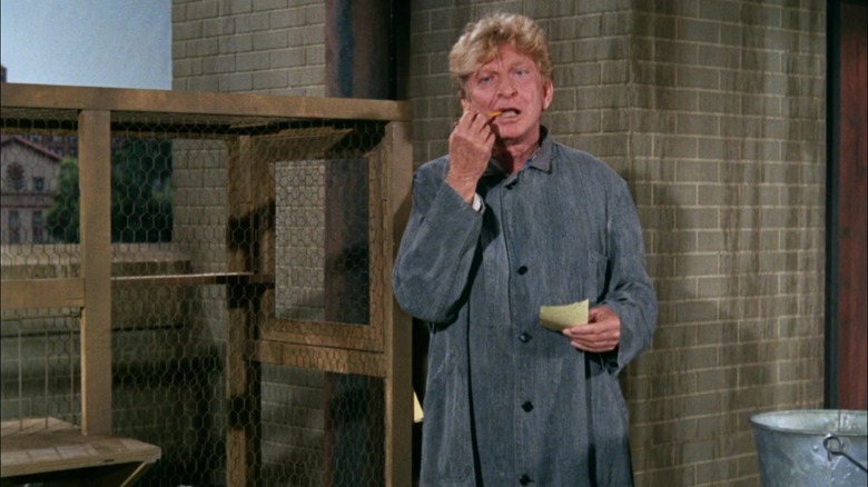 Sterling Holloway as Birdy considers his next message-by-pigeon on Gilligan's Island.