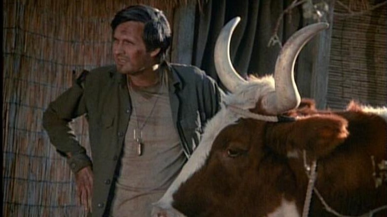 Hawkeye Pierce (Alan Alda) stands next to an ox in M*A*S*H