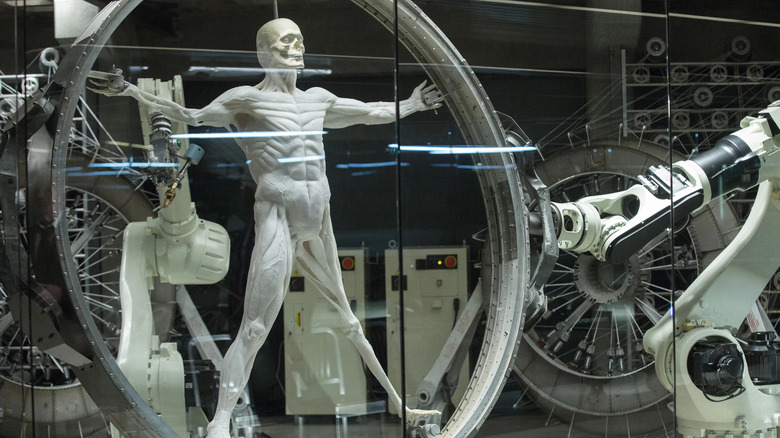 Robot being constructed in Westworld