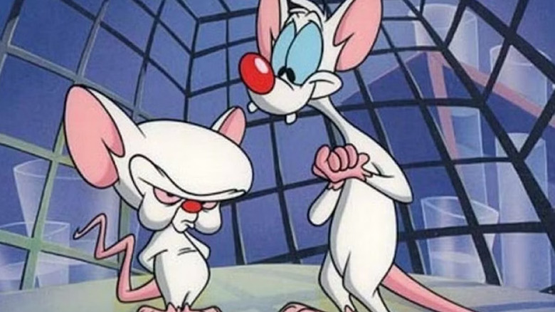 Pinky and the Brain plot their next move.