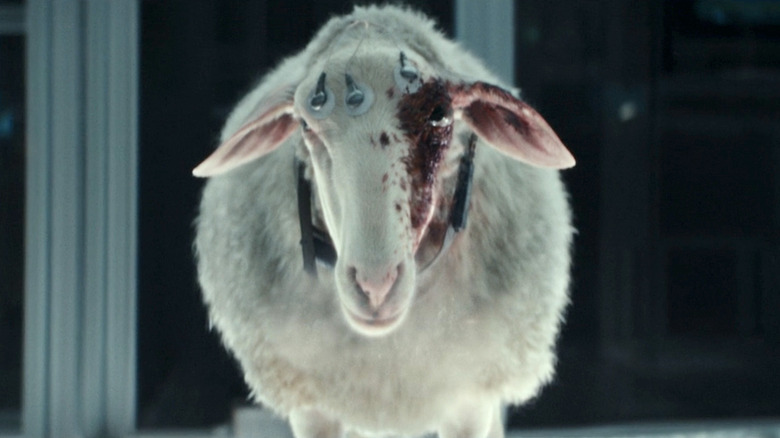 Alien Earth Sheep Eye Monster