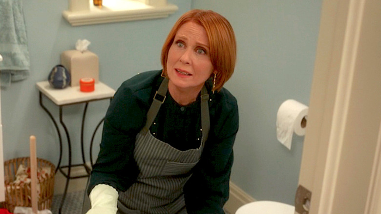 And Just Like That Bathroom Scene Miranda Finale