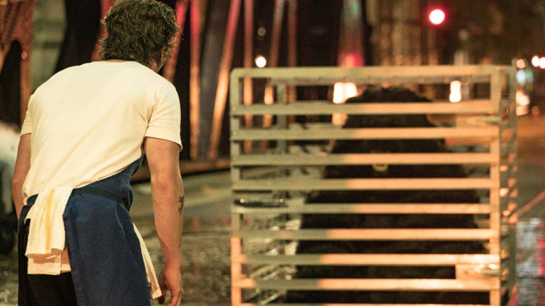 Jeremy Allen White as Carmy looking at a bear in a wooden cage in The Bear