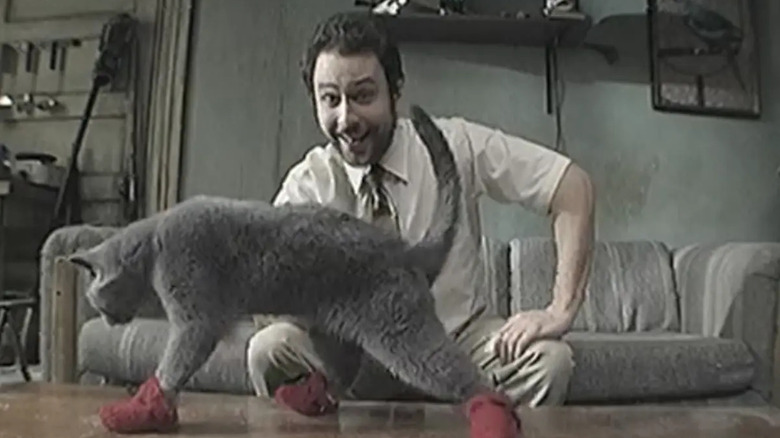 Charlie Day as Charlie smiling on a couch while a cat walks on a coffee table with mittens in It's Always Sunny in Philadelphia