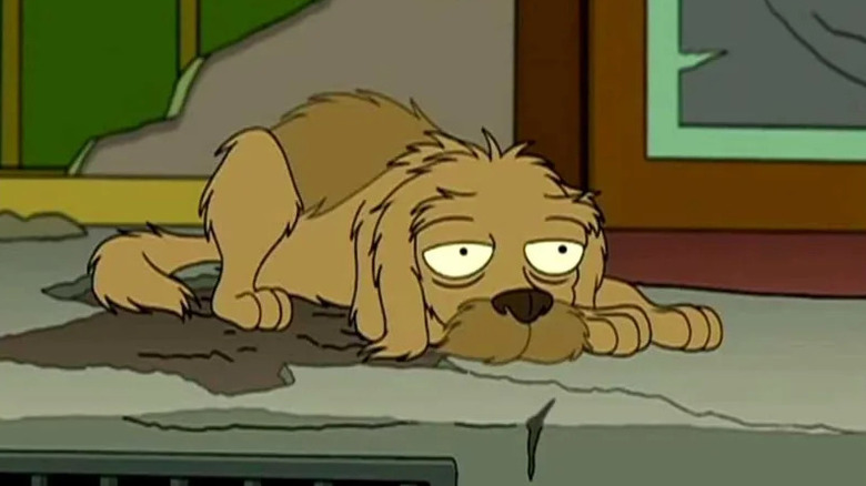 Seymour, the faithful dog who broke everyone's heart on Futurama