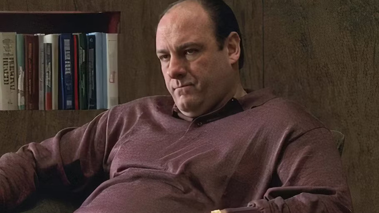 James Gandolfini as Tony Soprano on The Sopranos.