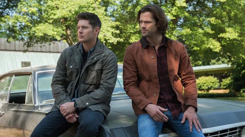 15 Best TV Siblings Of All Time, Ranked