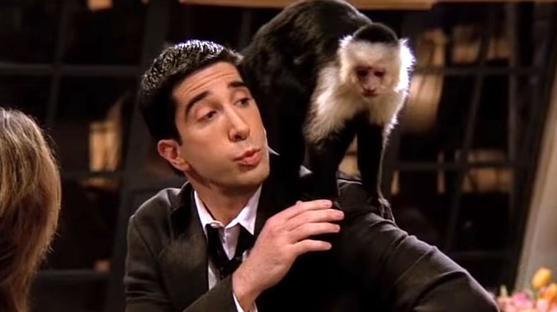 Ross (David Schwimmer) with a monkey on his shoulder on "Friends"