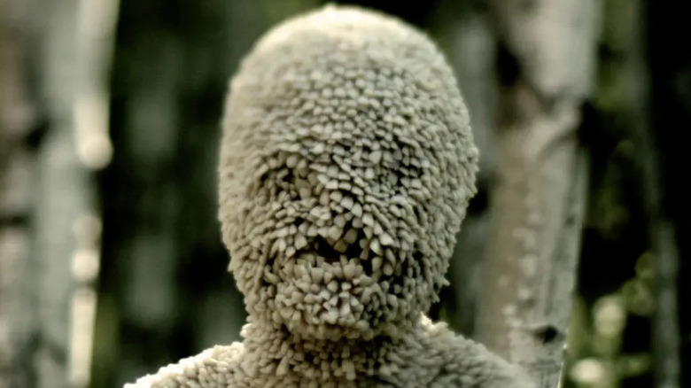 The tooth child in a forest