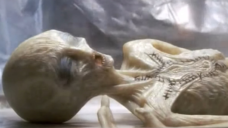 A gray alien cadaver getting checked for parasites