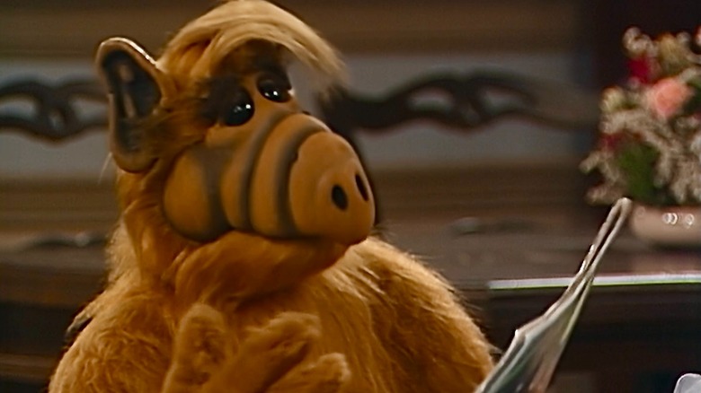 ALF reading a magazine