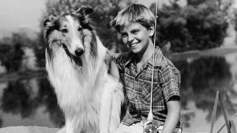 Lassie and Timmy