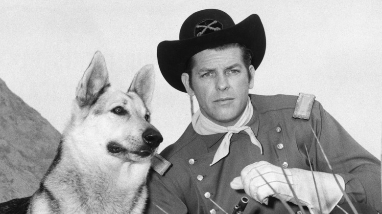 A promotional still from "The Adventures of Rin Tin Tin"