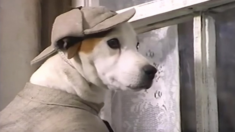 Wishbone as Sherlock Holmes in an episode of the beloved PBS show