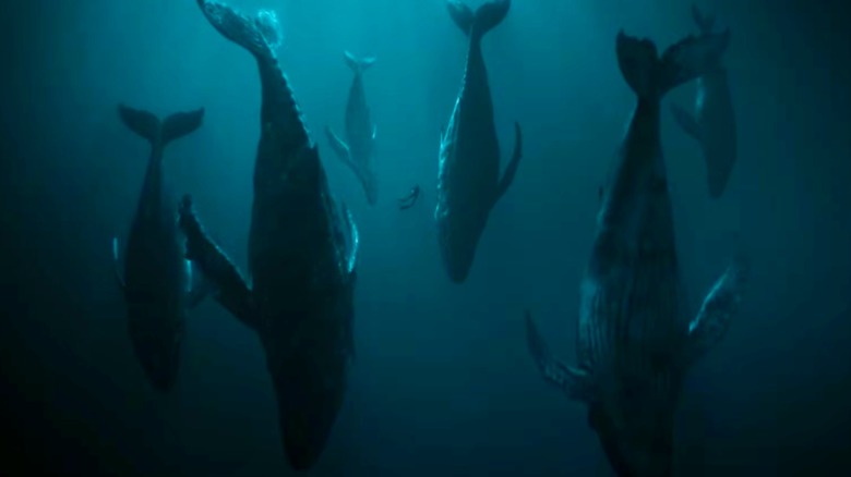 Some whales doing creepy things
