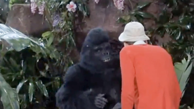 Gilligan and a gorilla in the episode "Forward March"