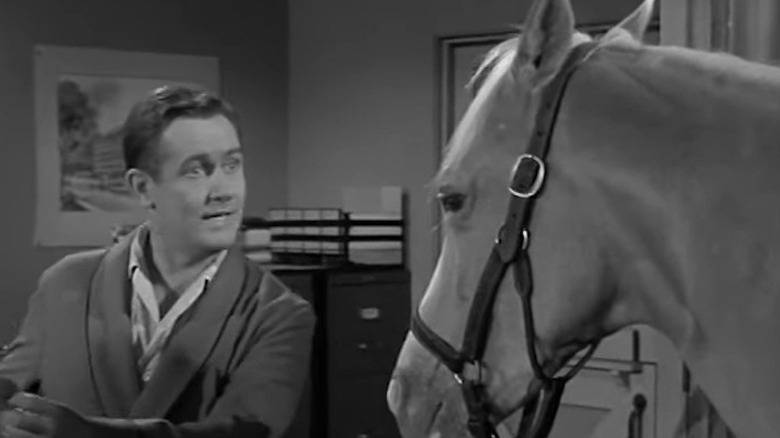 Alan Young as Wilbur talking to horse in Mister Ed