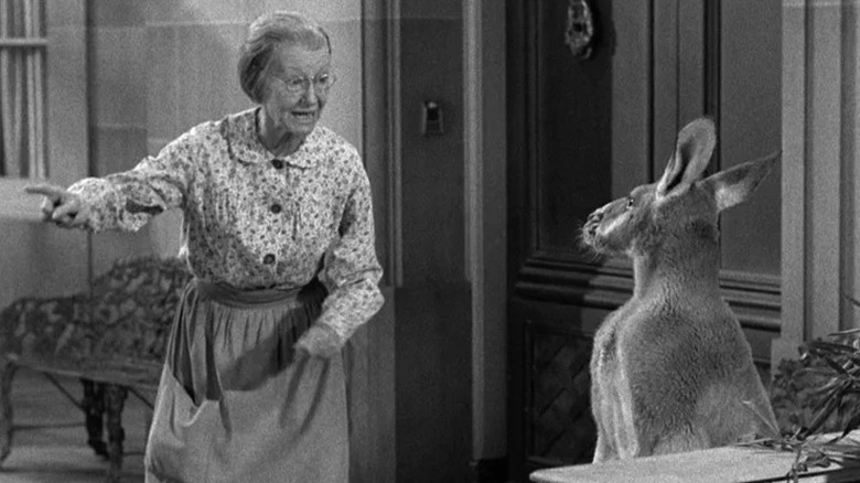 Irene Ryan as Granny talking to kangaroo on The Beverly Hillbillies