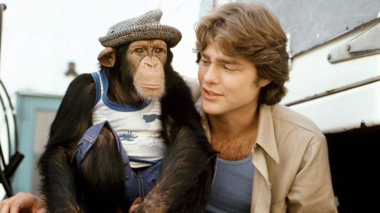 B.J. sitting and talking to his chimp Bear in "B.J. and the Bear" (1979-1981)