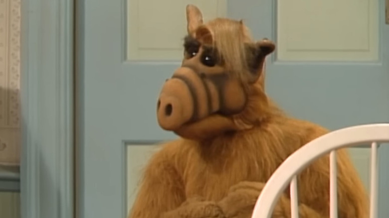 ALF looking to the side in ALF