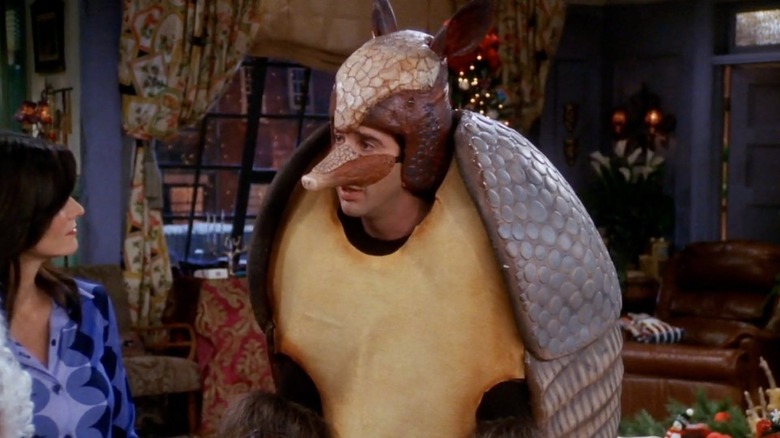 David Schwimmer as Ross, dressed as an armadillo on Friends.