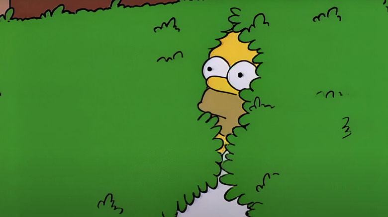 Homer Simpson volta pela sebe em Os Simpsons