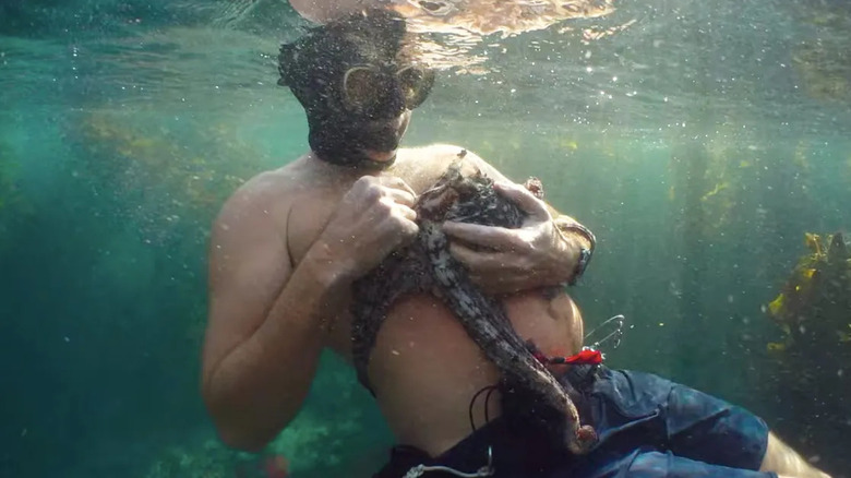 Craig Foster holding an octopus in My Octopus Teacher.