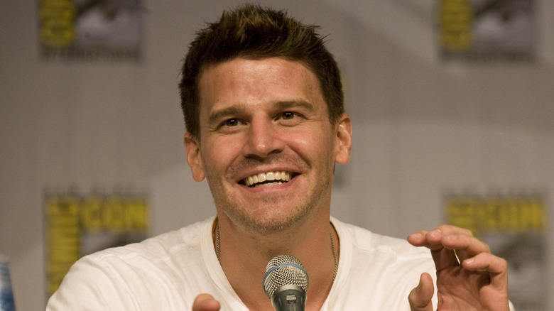 "Bones" star David Boreanaz speaking into a microphone at a convention