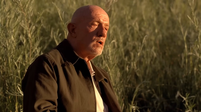 Jonathan Banks as Mike Ehrmantraut, sitting in the grass in Breaking Bad.