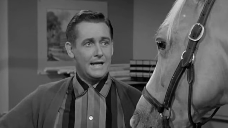 Wilbur Post scolds Mister Ed in an episode of Mister Ed.