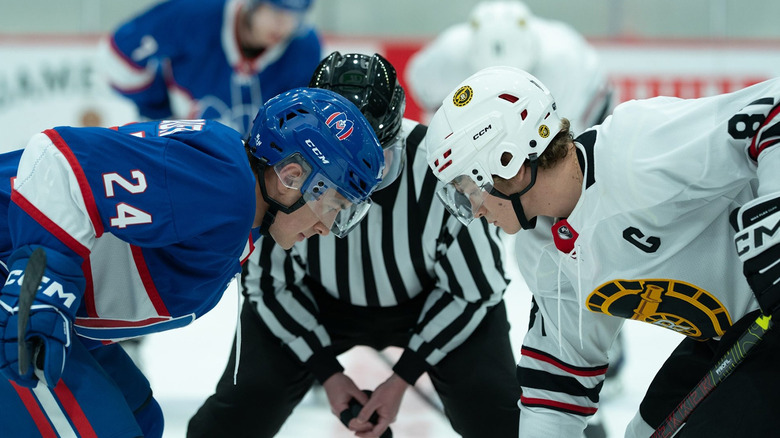 Shane e Ilya sobre a rivalidade acalorada da HBO Max
