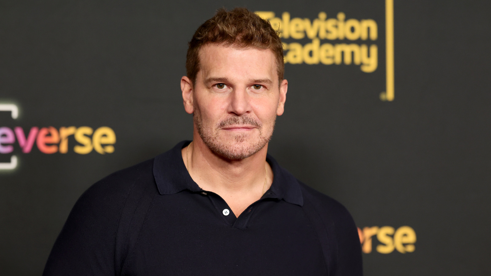 The Rockford Files Reboot Casts David Boreanaz