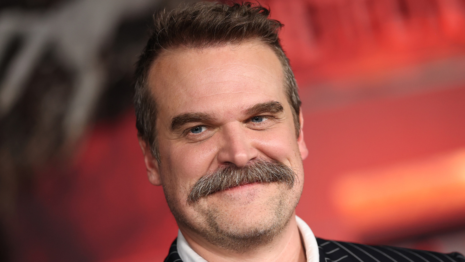 Every Stranger Things Actor Who Guest-Starred On Law And Order