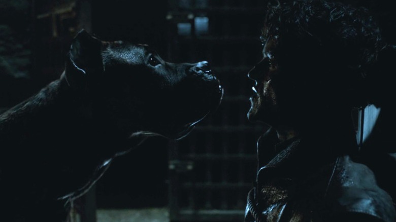 Ramsay being sniffed by one of his hounds on Game of Thrones S6E9