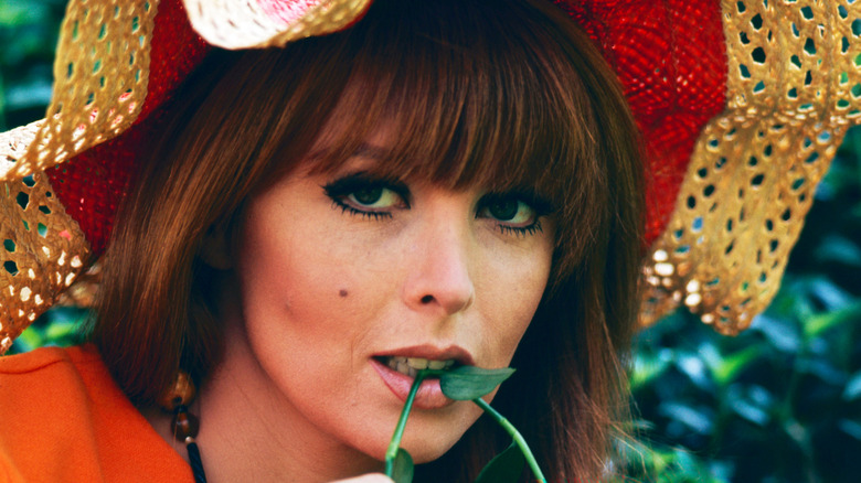 Actress Tina Louise in a promotional photo chewing on a leaf