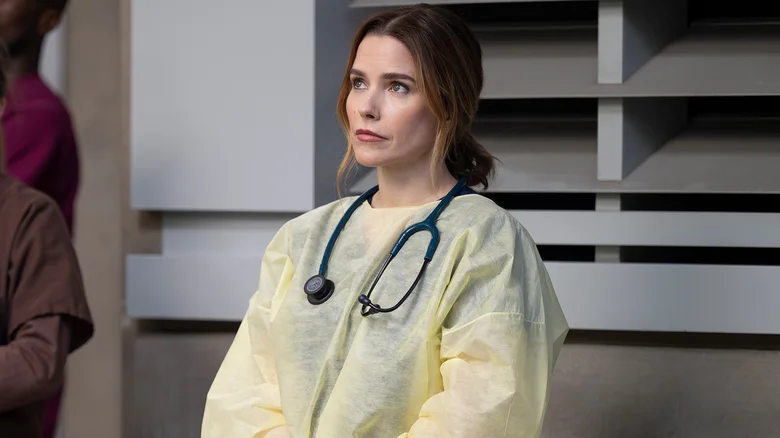 Grey's Anatomy Shocker: Sophia Bush Was 'Just As Surprised' By That Finale Cliffhanger As You — What's Next?