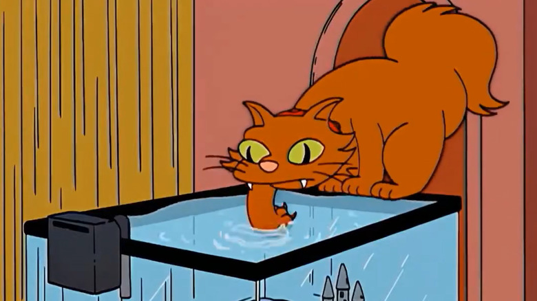 Lisa's cat Snowball III paws at the fishtank on The Simpsons.