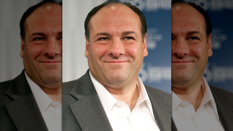James Gandolfini wearing a gray suit
