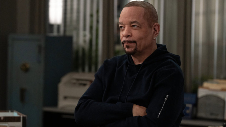 Fin in Law and Order: SVU