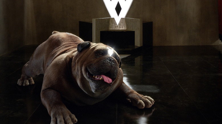 Lockjaw, the Inhuman Royal Family's teleporting dog, wants to play on "Inhumans"