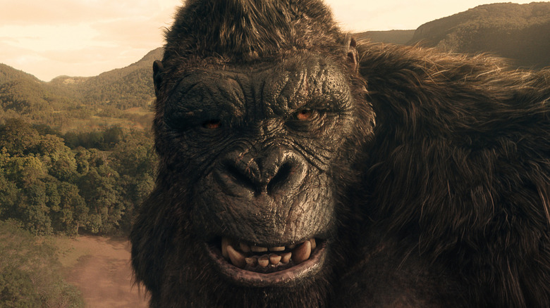 A wild-eyed Kong stands in a forest in Monarch: Legacy of Monsters