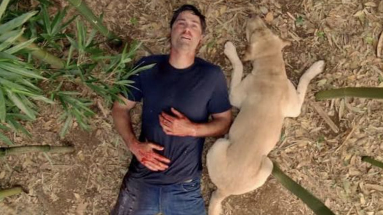 Matthew Fox as Jack lays on the ground staring at the sky beside a dog in the Lost finale