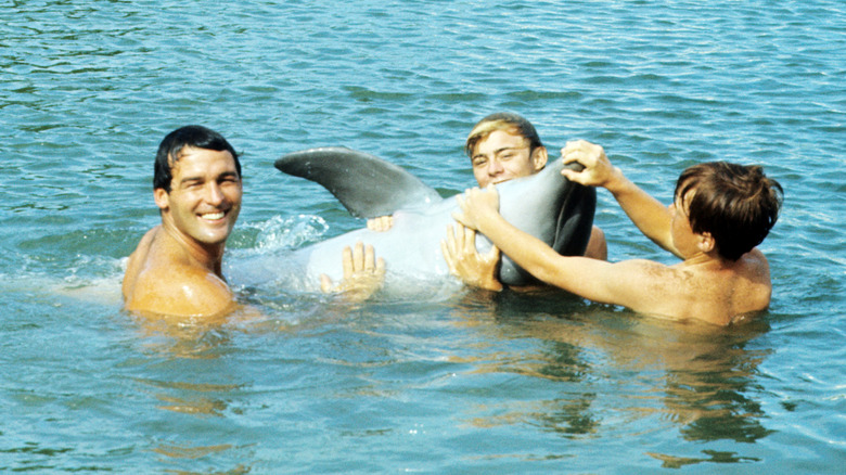 The cast of flipper gather around the dolphin in the water