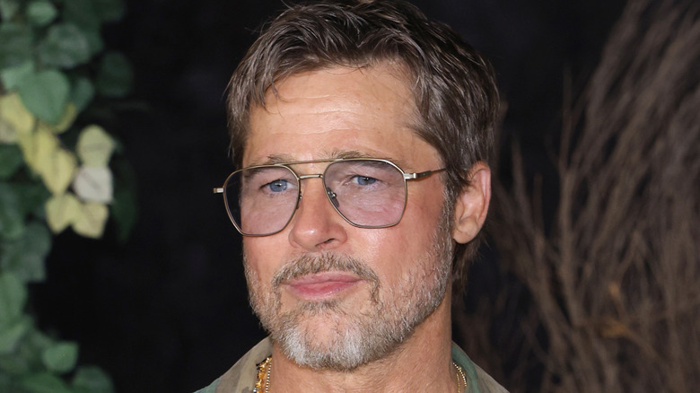 Brad Pitt with short brown hair and a graying beard. he's wearing aviator sunglasses.