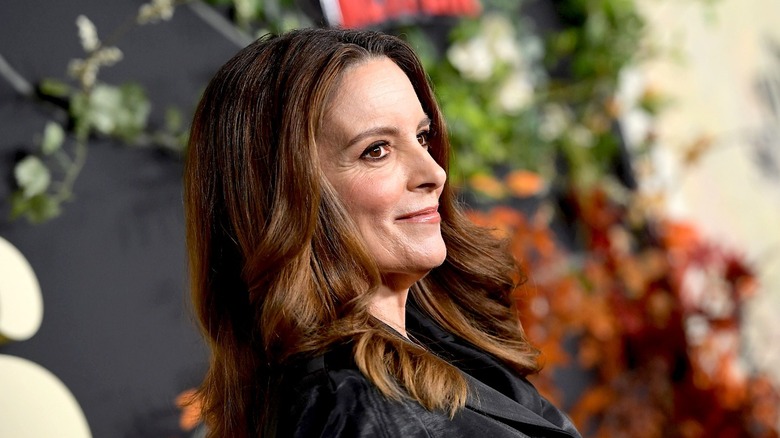 Tina Fey from The Four Seasons