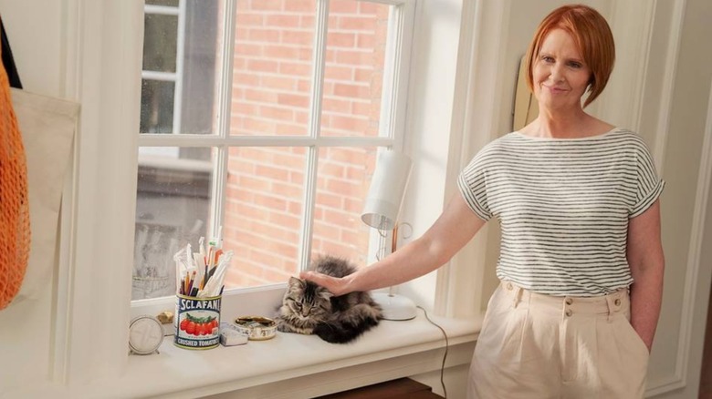 Sentado no parapeito de uma janela acariciando um gato em Miranda e Just Like That, de Cynthia Nixon...