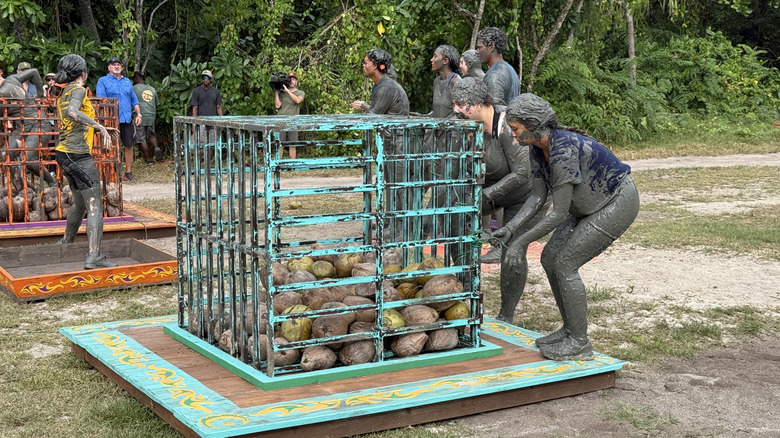 Members of the press take on a Survivor challenge